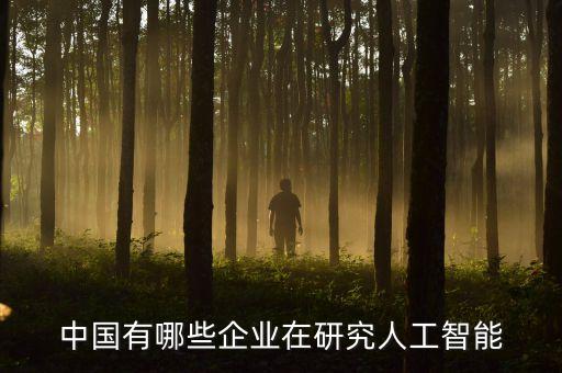 中國有哪些企業(yè)在研究人工智能
