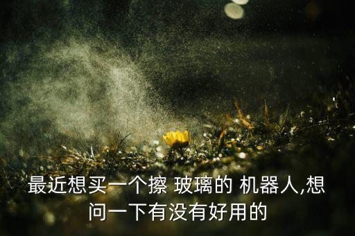最近想買一個擦 玻璃的 機(jī)器人,想問一下有沒有好用的