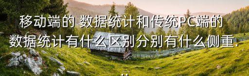 移動(dòng)端的 數(shù)據(jù)統(tǒng)計(jì)和傳統(tǒng)PC端的 數(shù)據(jù)統(tǒng)計(jì)有什么區(qū)別分別有什么側(cè)重...