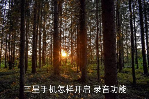 三星 自動錄音,三星自動翻蓋手機