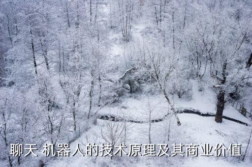 聊天 機器人的技術原理及其商業(yè)價值