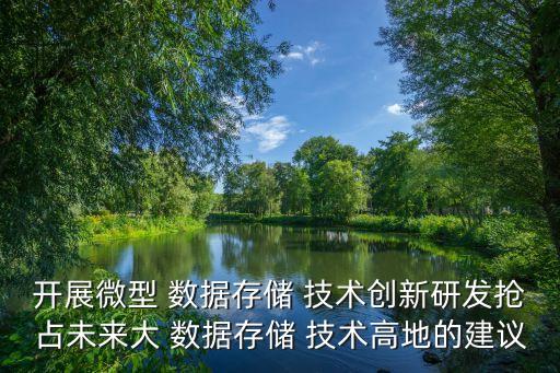 開展微型 數(shù)據(jù)存儲 技術(shù)創(chuàng)新研發(fā)搶占未來大 數(shù)據(jù)存儲 技術(shù)高地的建議