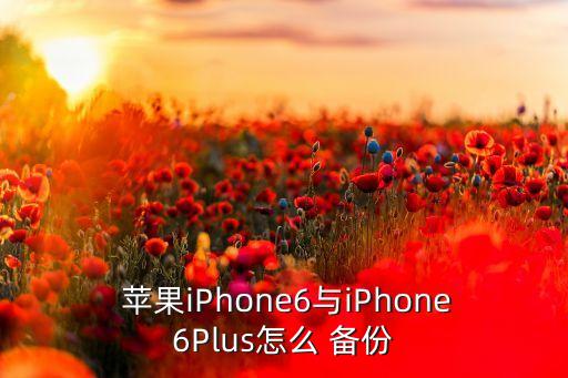  蘋果iPhone6與iPhone6Plus怎么 備份