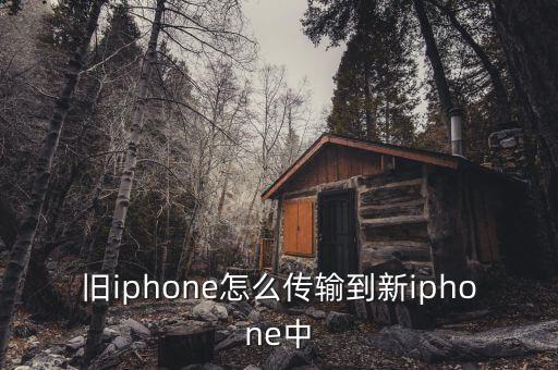 舊iphone怎么傳輸?shù)叫耰phone中