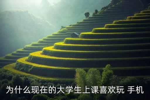 為什么現(xiàn)在的大學(xué)生上課喜歡玩 手機(jī)