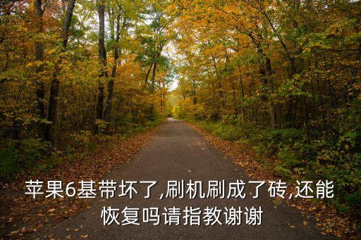 蘋(píng)果6基帶壞了,刷機(jī)刷成了磚,還能 恢復(fù)嗎請(qǐng)指教謝謝