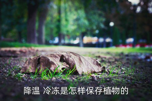 冷凍法數(shù)據(jù)處理,同伴提名法怎么數(shù)據(jù)處理