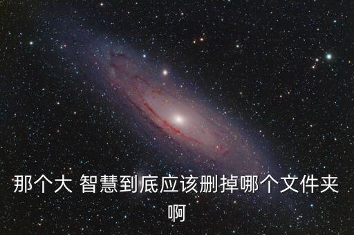那個(gè)大 智慧到底應(yīng)該刪掉哪個(gè)文件夾啊