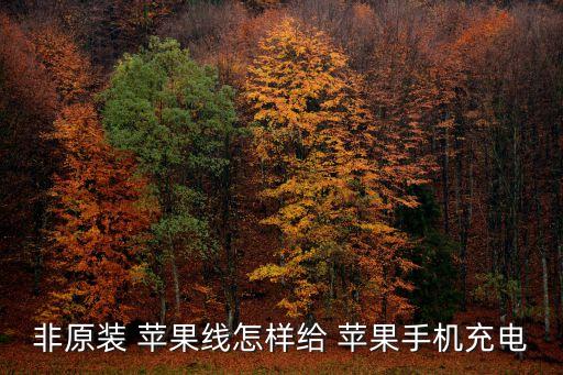 非原裝 蘋果線怎樣給 蘋果手機(jī)充電
