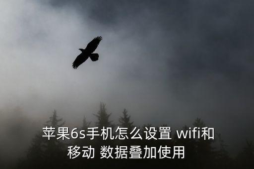 蘋果wifi與數(shù)據(jù)連接,蘋果怎么設(shè)置連接wifi后不使用數(shù)據(jù)