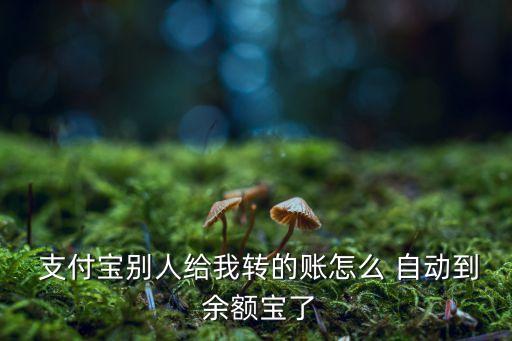  支付寶別人給我轉(zhuǎn)的賬怎么 自動到 余額寶了