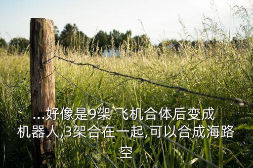 ...好像是9架 飛機合體后變成 機器人,3架合在一起,可以合成海路空