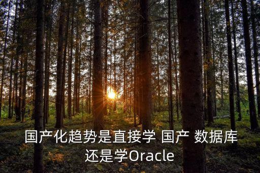  國產(chǎn)化趨勢是直接學(xué) 國產(chǎn) 數(shù)據(jù)庫還是學(xué)Oracle