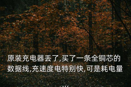 原裝充電器丟了,買了一條全銅芯的 數(shù)據(jù)線,充速度電特別快,可是耗電量...