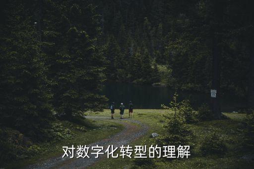 對數(shù)字化轉(zhuǎn)型的理解