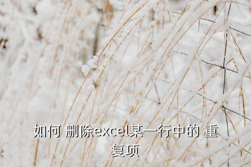 文件級重復(fù)數(shù)據(jù)刪除,怎么刪除excel重復(fù)數(shù)據(jù)