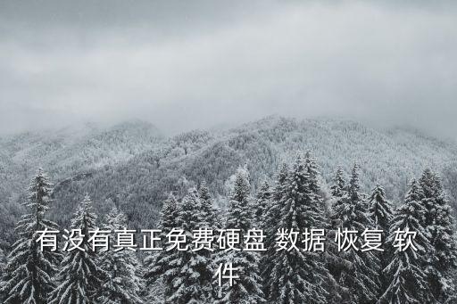 有沒有真正免費硬盤 數(shù)據(jù) 恢復(fù) 軟件