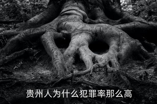  貴州人為什么犯罪率那么高