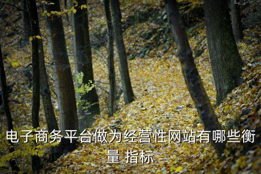 電子商務(wù)平臺(tái)做為經(jīng)營(yíng)性網(wǎng)站有哪些衡量 指標(biāo)