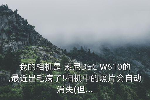 我的相機是 索尼DSC W610的,最近出毛病了!相機中的照片會自動消失(但...