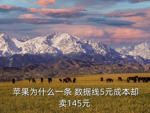  蘋果為什么一條 數(shù)據(jù)線5元成本卻賣145元