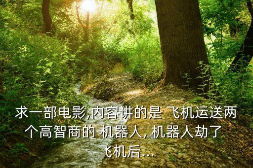 求一部電影,內(nèi)容講的是 飛機(jī)運(yùn)送兩個(gè)高智商的 機(jī)器人, 機(jī)器人劫了 飛機(jī)后...