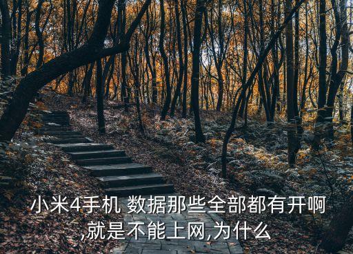 小米4數(shù)據(jù)網(wǎng)絡沒反應,安卓手機開了數(shù)據(jù)網(wǎng)絡沒反應怎么辦