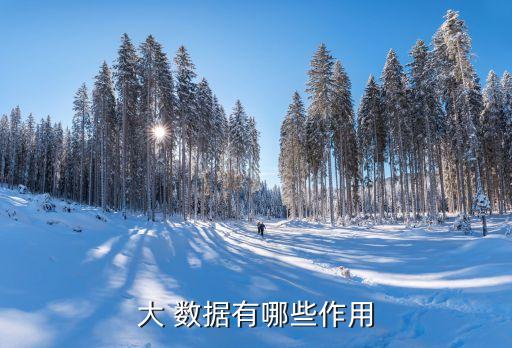 研究大數(shù)據(jù)的意義,簡述大數(shù)據(jù)研究的意義簡答題