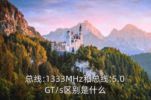 總線:1333MHz和總線:5.0GT/s區(qū)別是什么