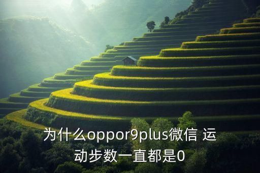 為什么oppor9plus微信 運(yùn)動步數(shù)一直都是0