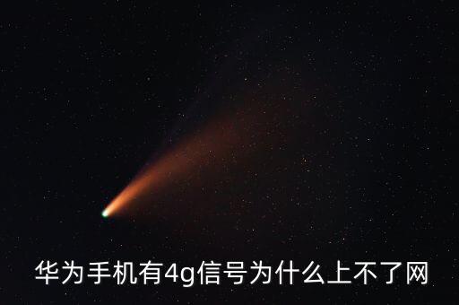  華為手機(jī)有4g信號為什么上不了網(wǎng)
