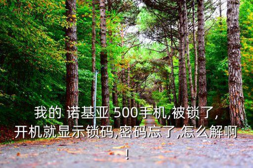 諾基亞500數(shù)據(jù)開關(guān)