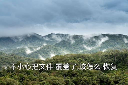 不小心把文件 覆蓋了,該怎么 恢復(fù)!