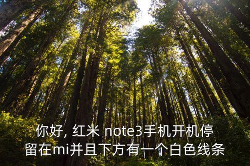 紅米note3格機(jī)出數(shù)據(jù)線,紅米60快充數(shù)據(jù)線可以給小米note3充電嗎