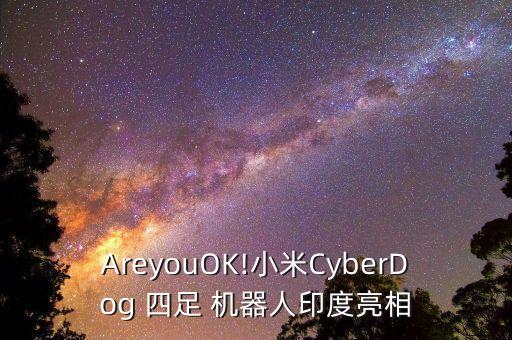 AreyouOK!小米CyberDog 四足 機(jī)器人印度亮相