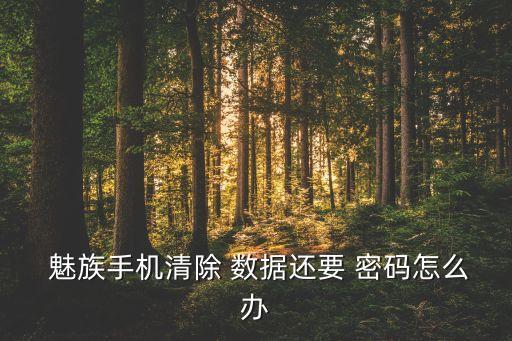  魅族手機(jī)清除 數(shù)據(jù)還要 密碼怎么辦