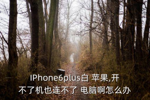 IPhone6plus白 蘋果,開不了機(jī)也連不了 電腦啊怎么辦