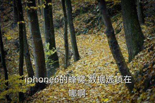  iphone6的蜂窩 數(shù)據(jù)選項(xiàng)在哪啊