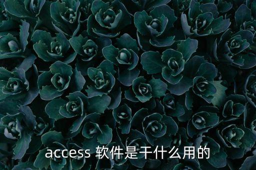 access 軟件是干什么用的