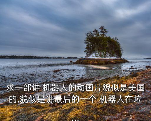 求一部講 機器人的動畫片貌似是美國的,貌似是講最后的一個 機器人在垃...