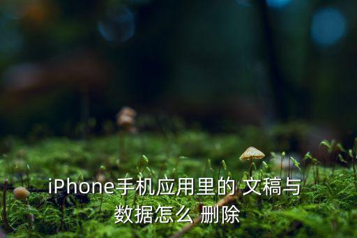 iPhone手機應用里的 文稿與 數(shù)據(jù)怎么 刪除