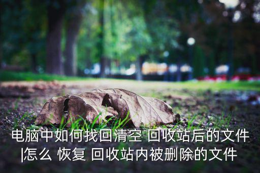 電腦中如何找回清空 回收站后的文件|怎么 恢復(fù) 回收站內(nèi)被刪除的文件