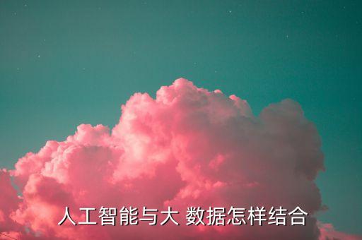  人工智能與大 數(shù)據(jù)怎樣結(jié)合