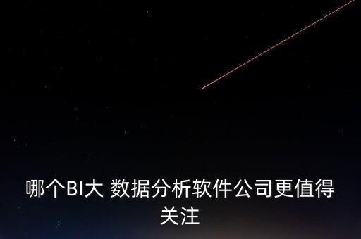 哪個(gè)BI大 數(shù)據(jù)分析軟件公司更值得關(guān)注