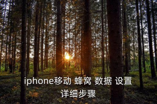 iphone移動(dòng) 蜂窩 數(shù)據(jù) 設(shè)置詳細(xì)步驟