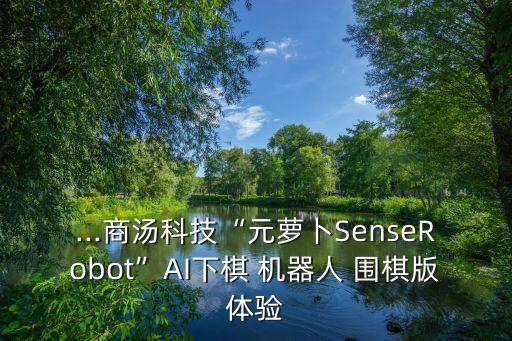 ...商湯科技“元蘿卜SenseRobot”AI下棋 機(jī)器人 圍棋版體驗(yàn)