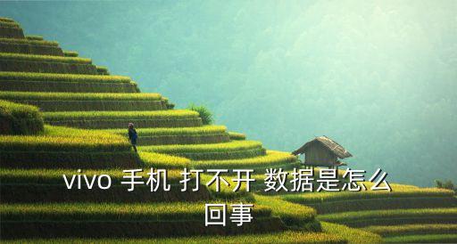 vivo 手機(jī) 打不開 數(shù)據(jù)是怎么回事
