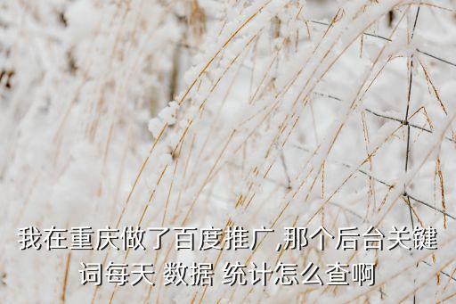 我在重慶做了百度推廣,那個(gè)后臺(tái)關(guān)鍵詞每天 數(shù)據(jù) 統(tǒng)計(jì)怎么查啊