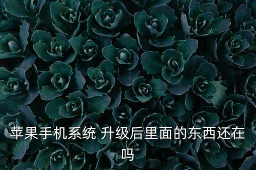 itunes升級會損壞數(shù)據(jù),蘋果itunes升級數(shù)據(jù)還在嗎