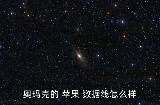 蘋果數(shù)據(jù)線 品牌